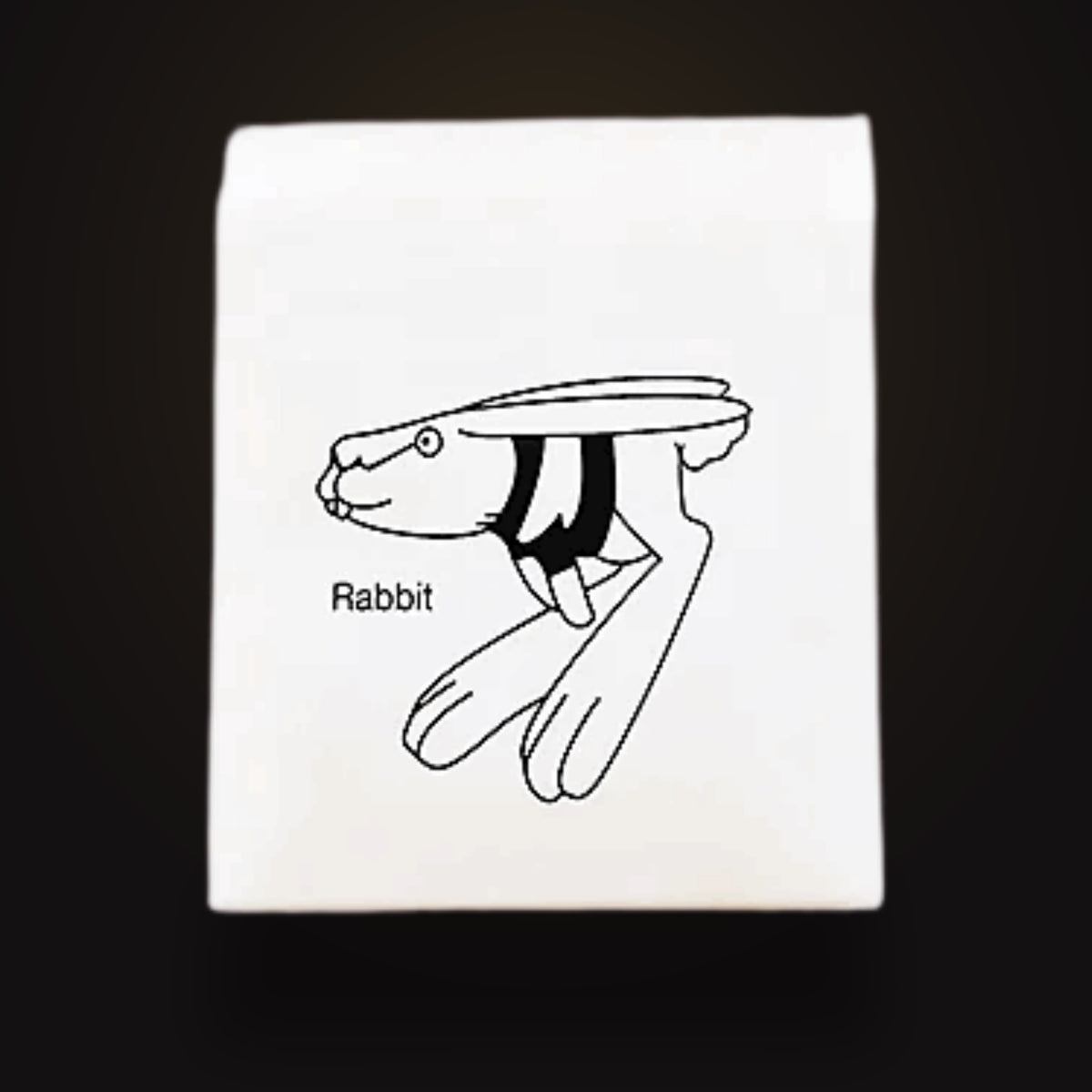 Zoo Pack Elastics - Rabbit